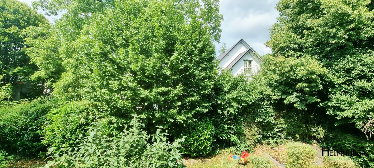 Aussicht in den Garten