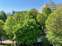 Frühling vor der Tür
